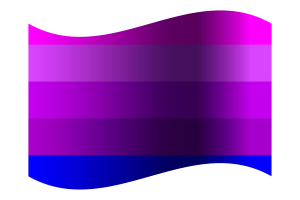 詹妮弗·佩利宁的跨性别旗帜