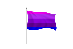 詹妮弗·佩利宁的跨性别旗帜符号