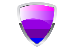 詹妮弗·佩利宁的跨性别盾旗