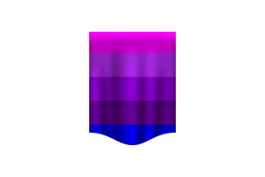 詹妮弗·佩利宁的跨性别旗帜横幅