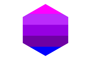 詹妮弗·佩利宁的跨性别旗帜六边形形状
