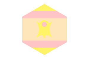 Nominsexual性取向人群旗帜六边形