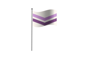 挥舞着Queer Chevron认同群体的旗帜