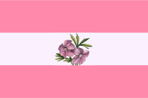 女同性恋旗帜
