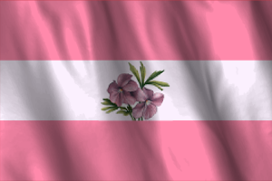 女同性恋旗帜