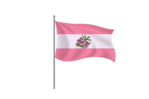 女同性恋旗帜符号