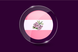 女同性恋旗帜光面圆形按钮