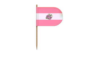 女同性恋旗帜桌旗