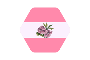 女同性恋旗矢量插图
