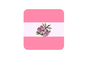 女同性恋旗方形圆形