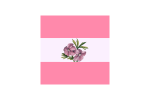 女同性恋旗剪贴画