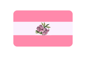 女同性恋旗圆角矩形矢量插图