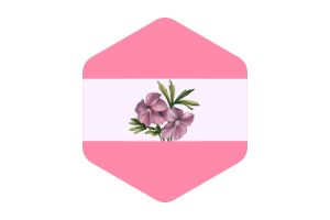 女同性恋旗圆形六边形