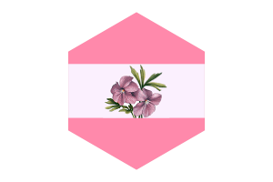 女同性恋旗六边形