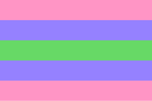 三性别人群旗帜