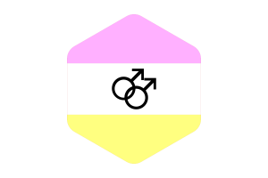 Twink男同性恋人群旗帜圆形六边形