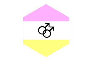Twink男同性恋人群的旗帜六边形形状