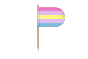 非二元性别人群标志桌旗