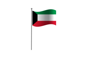 挥舞着科威特国旗