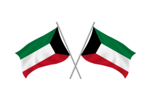 科威特挥舞友谊旗帜