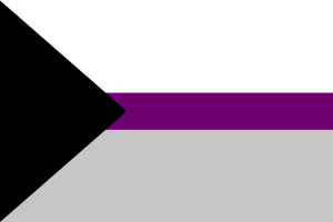 半性恋的旗帜
