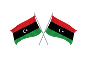 利比亚挥舞友谊旗帜