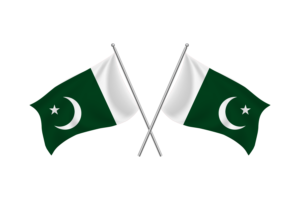 巴基斯坦挥舞友谊旗帜