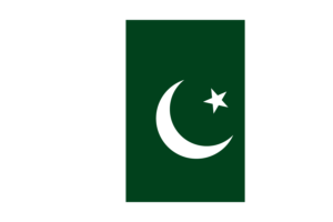 巴基斯坦国旗 （下载SVG， PNG）