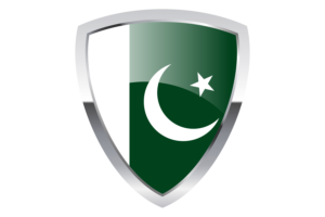 巴基斯坦盾旗