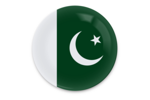 巴基斯坦国旗矢量艺术