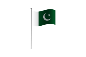 挥舞着巴基斯坦国旗