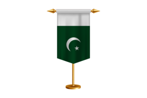 巴基斯坦国旗插图与立场