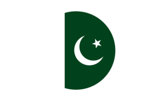 巴基斯坦国旗矢量免费下载