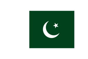 巴基斯坦国旗三角形矢量插图