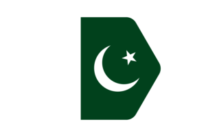 巴基斯坦国旗矢量插图