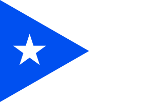 波多黎各徽章