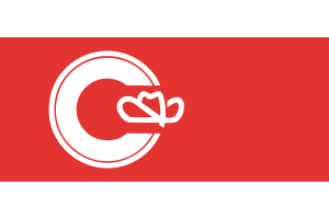 卡尔加里旗帜