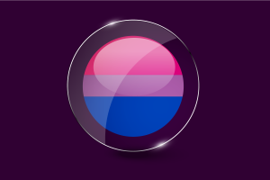 双性恋旗帜光泽圆形按钮