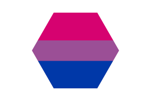 双性恋旗帜三角形圆形