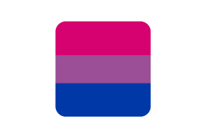 双性恋旗方形圆形