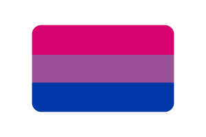 双性恋旗帜三角形矢量插图