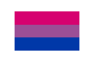 双性恋旗帜矢量插图