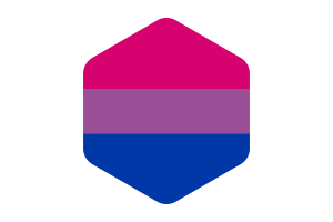 双性恋旗圆形六边形