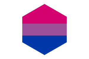 双性恋旗帜六边形