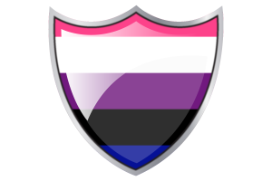 带有性别流体旗帜的盾牌