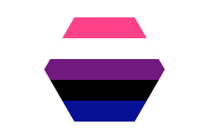 性别流体旗帜三角形圆形