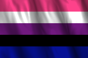 性别流体旗帜