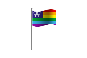 挥舞着女同性恋骄傲的旗帜