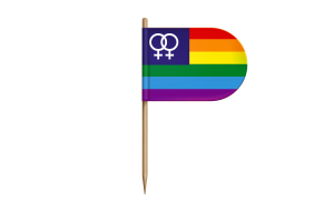 女同性恋骄傲旗帜桌旗