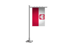 3d 波兰站旗